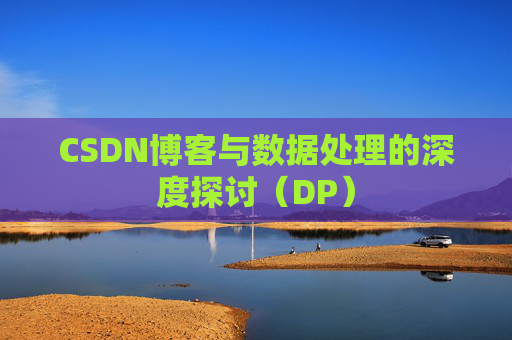 CSDN博客与数据处理的深度探讨（DP）